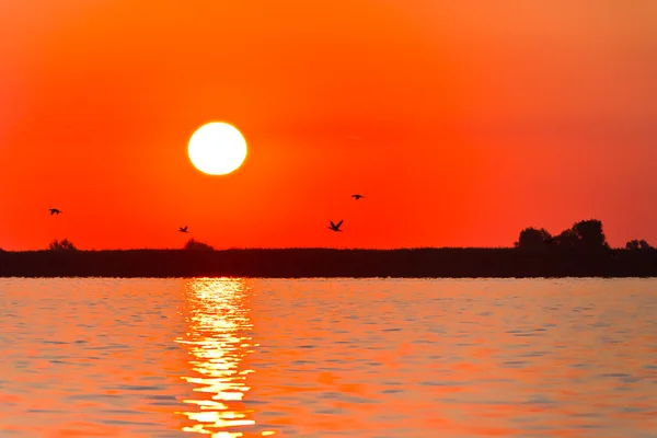 Soluppgång i Donaudeltat — Stockfoto