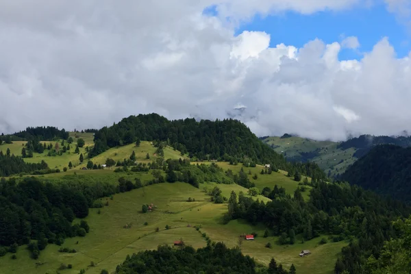 녹색 언덕 — 스톡 사진