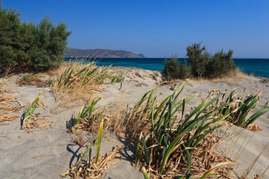 vahşi beach