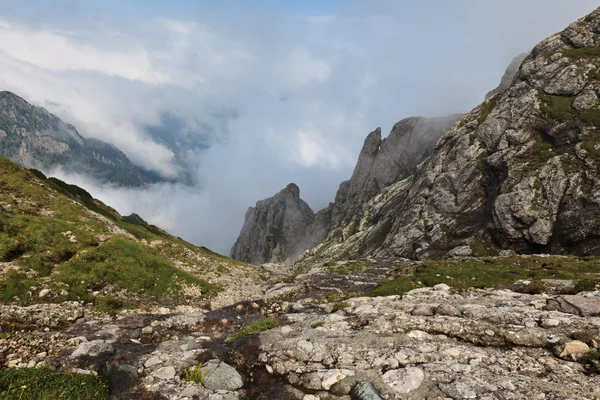 Dağ vadisi — Stok fotoğraf