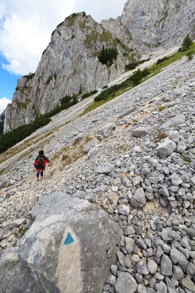 stock image Tourists on a mountain trail