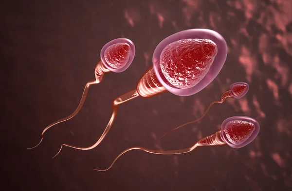 Células de esperma nadam até o ovo — Fotografia de Stock