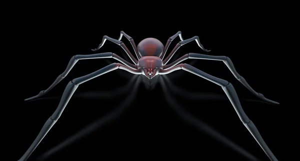 Spaventoso ragno nero vedova su superficie nera — Foto Stock