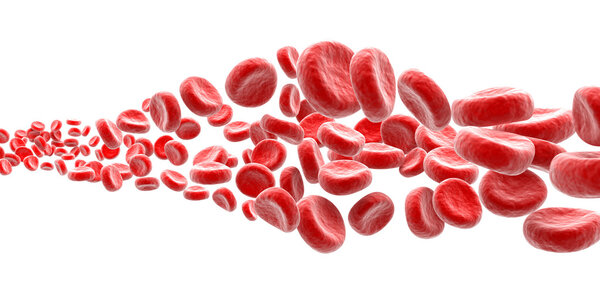 Blood cells on white background