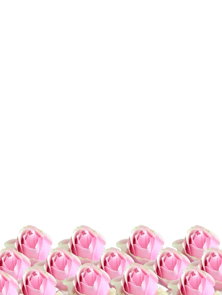 Текстура современных розовых роз — стоковое фото