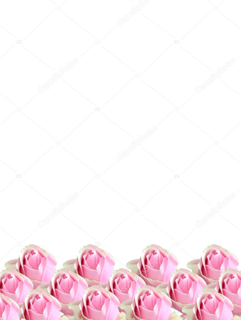 Texture of modern pink roses