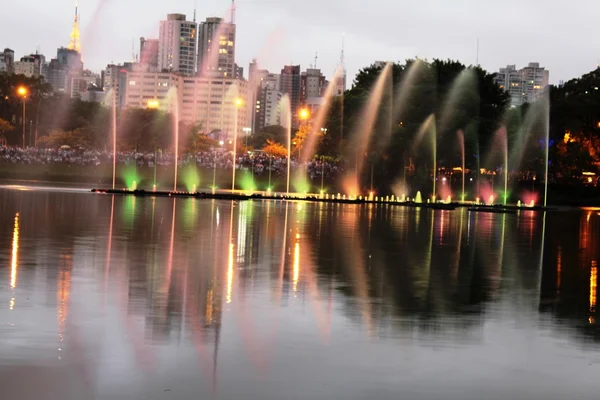 Aguas Ibirapuera Parkı Brezilya yaktı