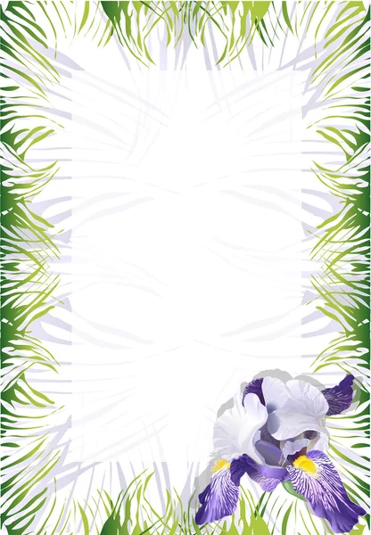Iris violet — Stockvector