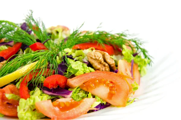 Vegetabilsk salat – stockfoto