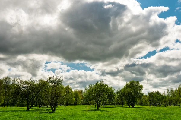 Meadow with cloudscape — Stock Photo, Image