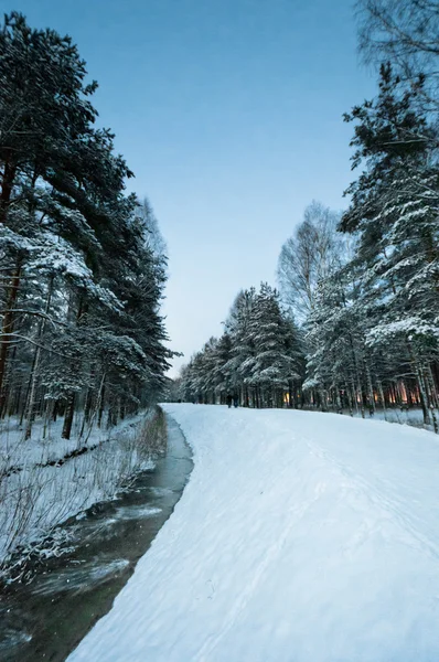 Bach in schneebedecktem Holz — Stockfoto