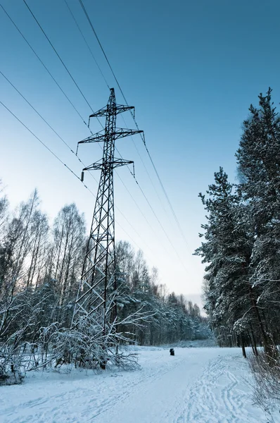 Elektrické vedení v zasněženém lese — Stock fotografie
