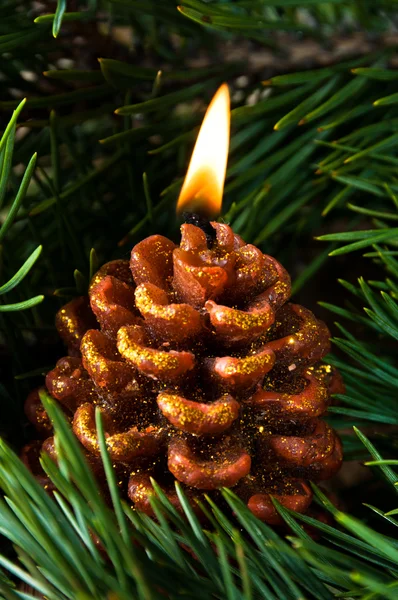Una vela como un cono de pino —  Fotos de Stock