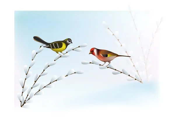 鳥と春の風景 — ストックベクタ