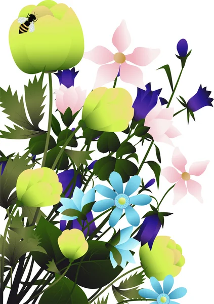 Букет полевых цветов — 图库矢量图片