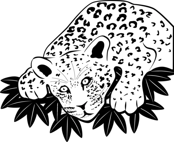 Leopard auf der Jagd — Stockvektor