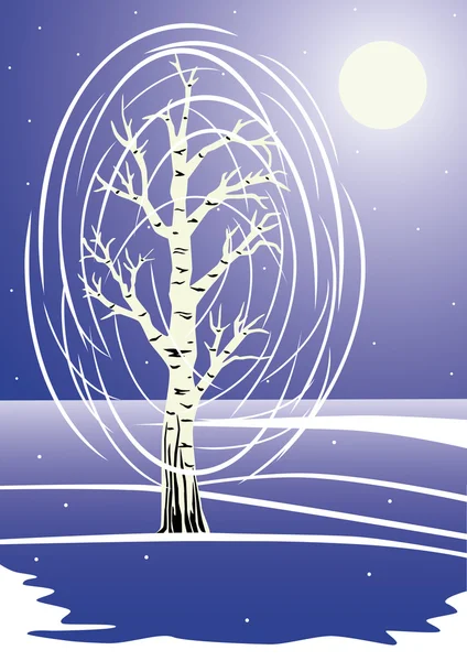 Beyaz huş ağacı — Stok Vektör