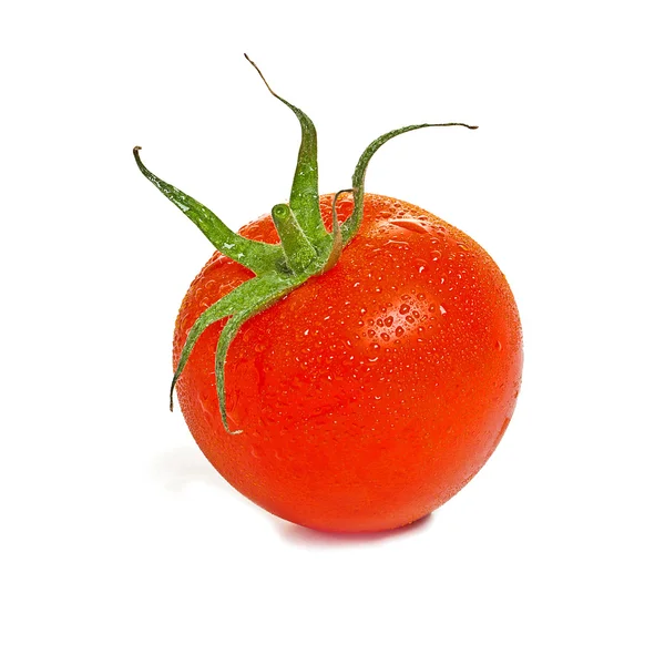 Tomat med droppar på vit bakgrund — Stockfoto