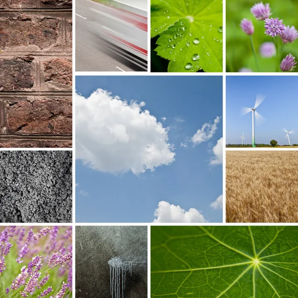 Environmental natural stone lotus leaf water drops lavender sky collag — Stock Photo, Image
