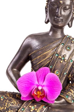 Boeddha buddhismus zen orchidee standbeeld gott feng-shui ASI