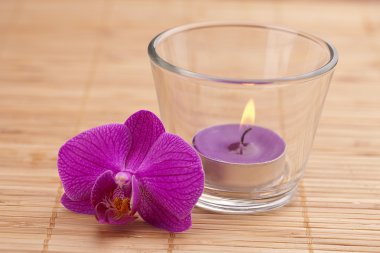 Blume orchidee teelicht bambus asien wellness zen blühen clipart