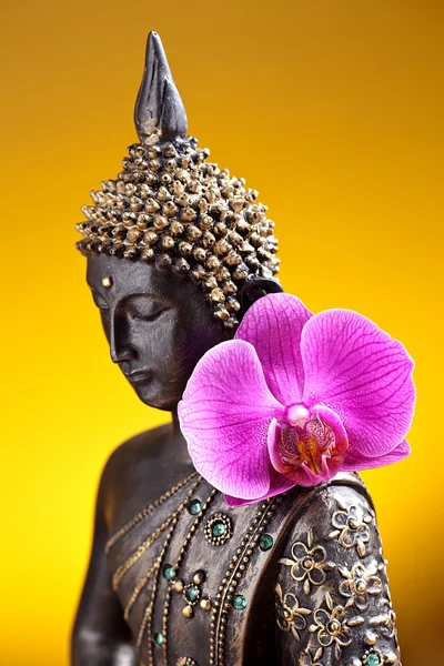 बुद्ध बौद्ध धर्म ज़ेन ऑर्किड मूर्ति गोट फेंग-शुई एशियाई — स्टॉक फ़ोटो, इमेज