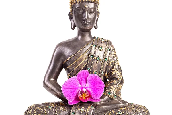 Buda Buddhismus zen orchidee Estatua Gott Feng-Shui Asien —  Fotos de Stock