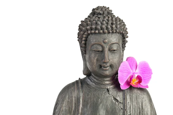 Boeddha buddhismus zen orchidee standbeeld gott feng-shui ASI — Stok fotoğraf