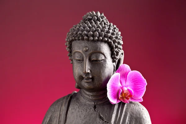 Budda buddhismus orchidee wolken posąg gott feng-shui asien — Zdjęcie stockowe