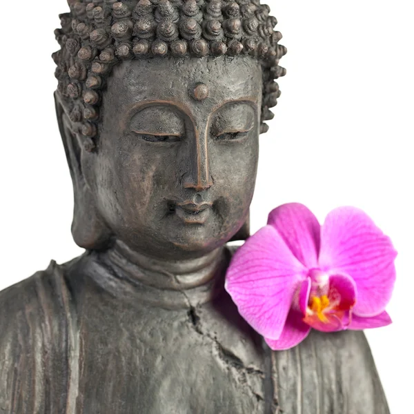 Buddha Buddhismus zen Orchidee Statue Gott Feng-Shui Asien — Stockfoto