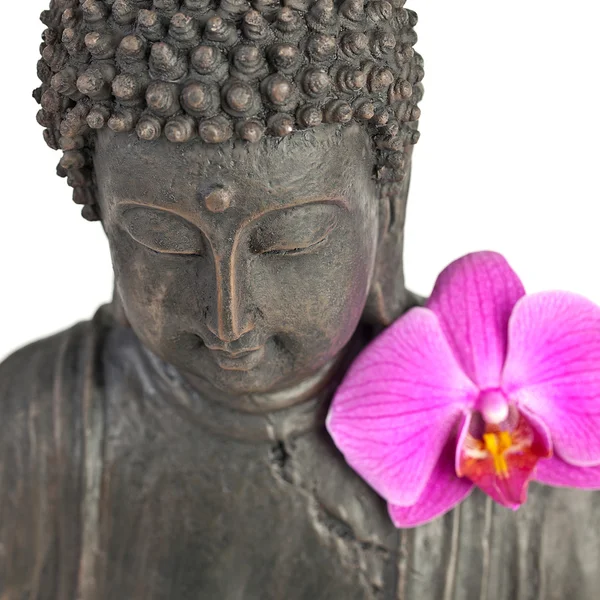 Boeddha buddhismus zen orchidee standbeeld gott feng-shui ASI