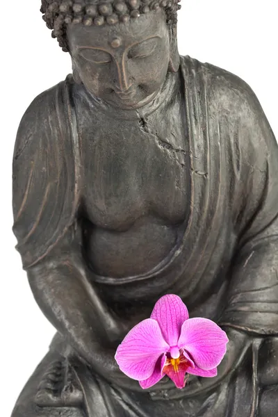 Budismo Buda zen orchidee Estátua Gott Feng-Shui Asien — Fotografia de Stock