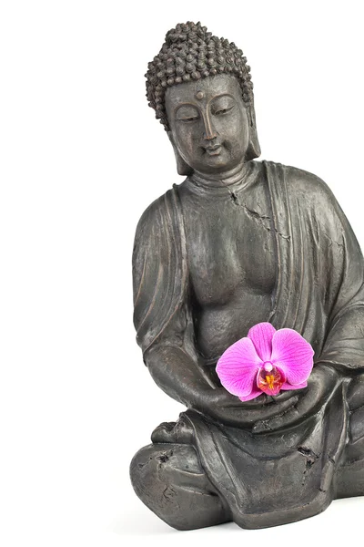Buddha Buddhismus zen orchidee Statue Gott Feng-Shui Asien — Stock Photo, Image