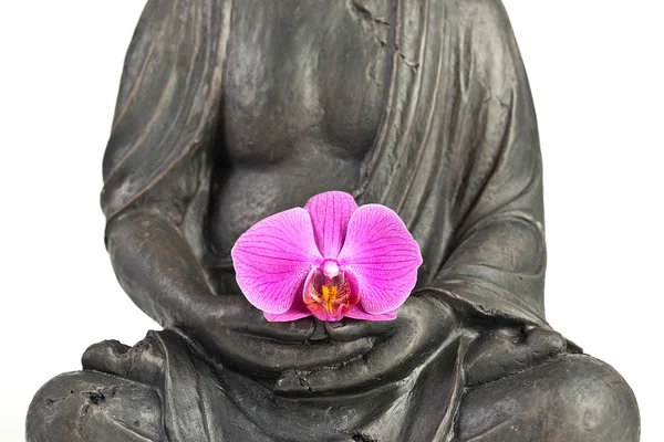 बुद्ध बौद्ध धर्म ज़ेन ऑर्किड मूर्ति गोट फेंग-शुई एशियाई — स्टॉक फ़ोटो, इमेज