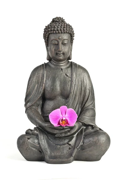 stock image Buddha Buddhismus zen orchidee Statue Gott Feng-Shui Asien