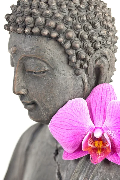 Boeddha buddhismus zen orchidee standbeeld gott feng-shui ASI — Stockfoto