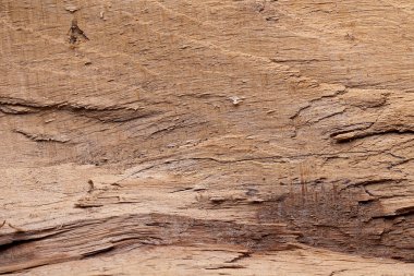 natrur baum holz struktur textur wald brett hintergrund kabul