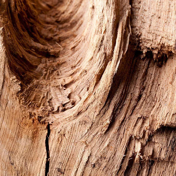 Баум Natrur Holz Struktur Textur Вальд Бретт Hintergrund зібрати — стокове фото