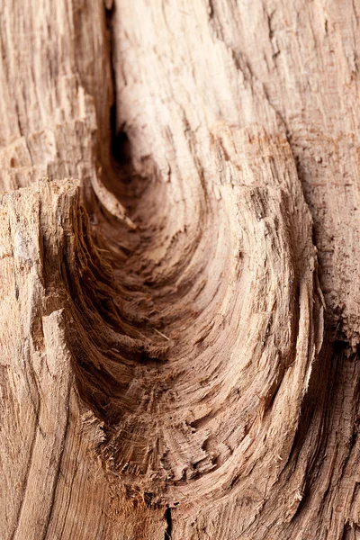 Natrur baum holz struktur texturas wald alardo de brett hintergrund — Fotografia de Stock