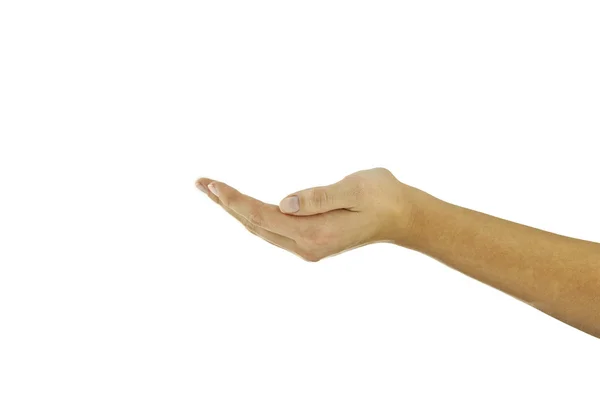Hand holding — Stock Photo, Image