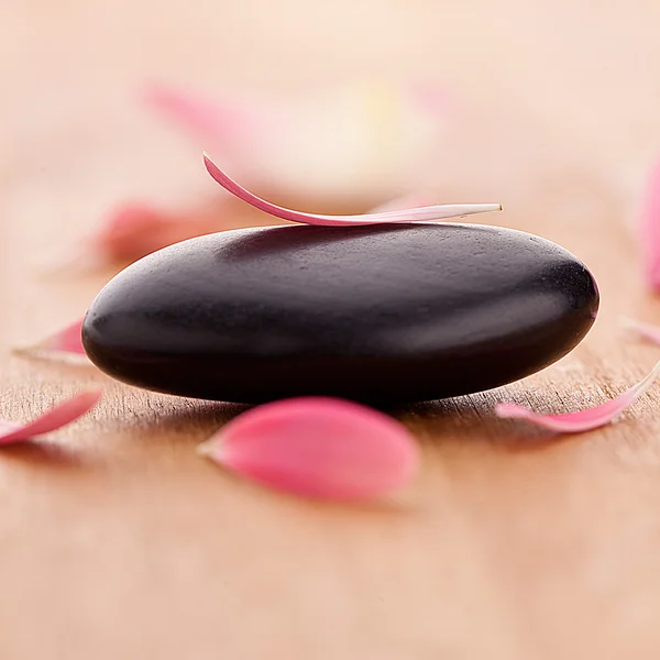 Чорний камінь з листям — стокове фото