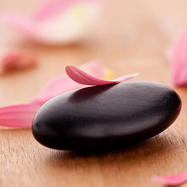 Black stone with leaves — Stock Photo, Image