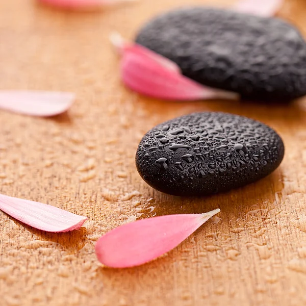 Чорні камені з листям краплі води — стокове фото