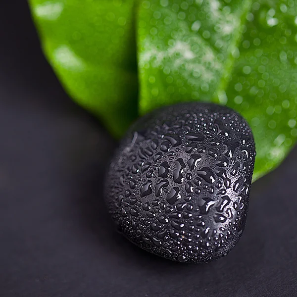 Green leaf and Black Stone with water drops — Stock Photo, Image