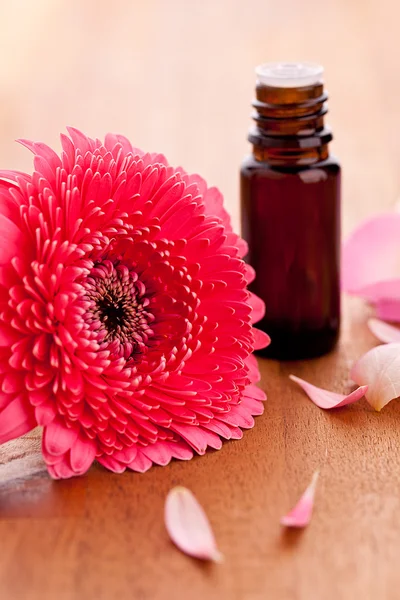 Bottiglia Gebera fiore e parfum con foglie di rosa su sfondo di legno — Foto Stock