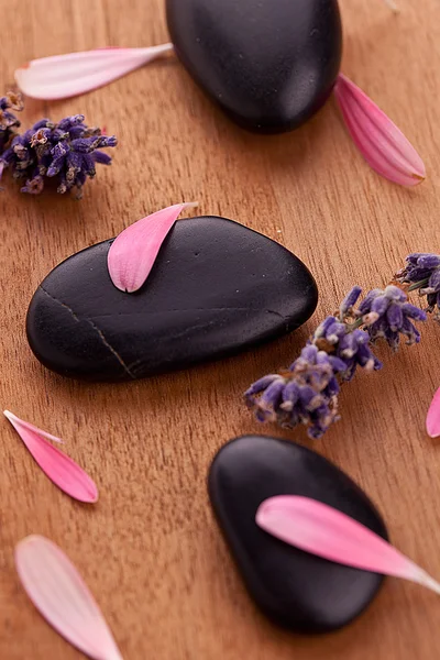 Zwarte stenen met bladeren en lavendel — Stockfoto