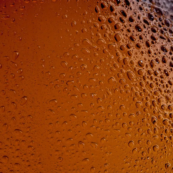 Pivní láhev s kapkami — Stock fotografie