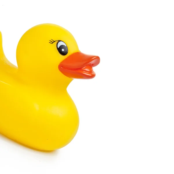 stock image Yellow rubber duck on White Background