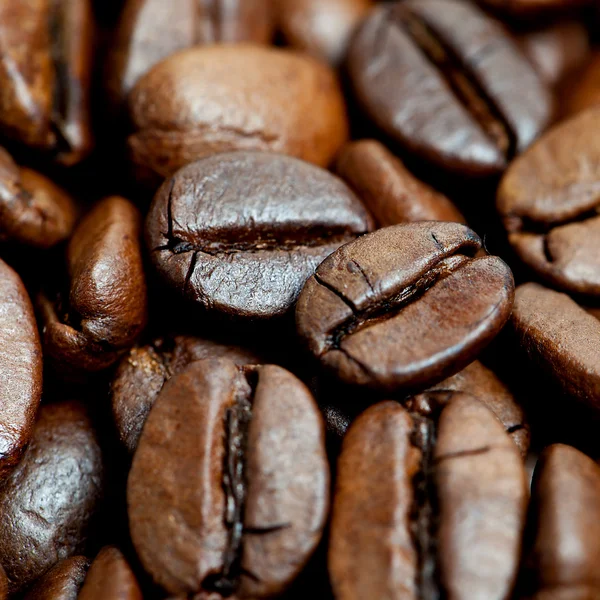 Pila de granos de café marrón —  Fotos de Stock
