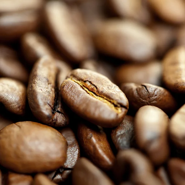 Hnědá kávová zrna hromada — Stock fotografie